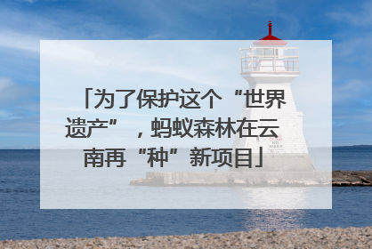 为了保护这个“世界遗产”，蚂蚁森林在云南再“种”新项目