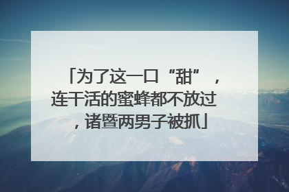 为了这一口“甜”，连干活的蜜蜂都不放过，诸暨两男子被抓