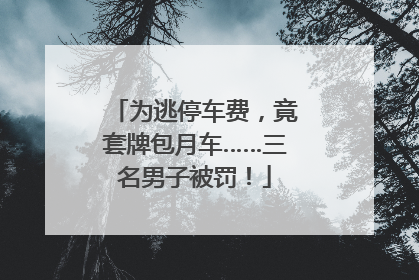 为逃停车费，竟套牌包月车……三名男子被罚！