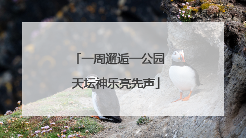 一周邂逅一公园 天坛神乐亮先声