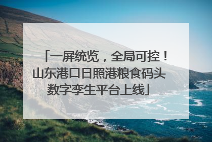 一屏统览，全局可控！山东港口日照港粮食码头数字孪生平台上线