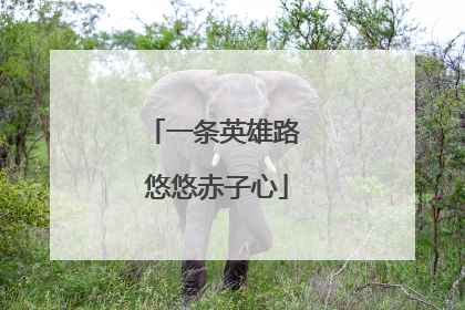 一条英雄路 悠悠赤子心