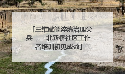三维赋能淬炼治理尖兵——北新桥社区工作者培训初见成效