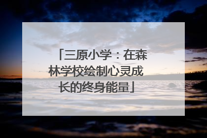 三原小学：在森林学校绘制心灵成长的终身能量