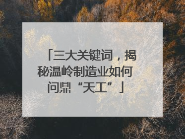 三大关键词，揭秘温岭制造业如何问鼎“天工”