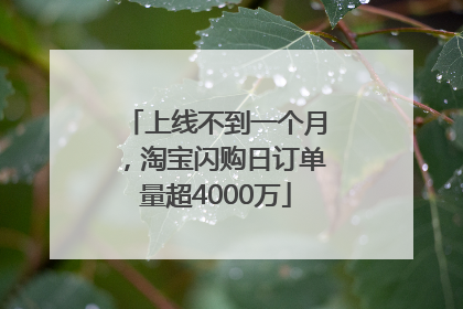 上线不到一个月，淘宝闪购日订单量超4000万