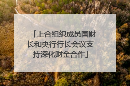 上合组织成员国财长和央行行长会议支持深化财金合作