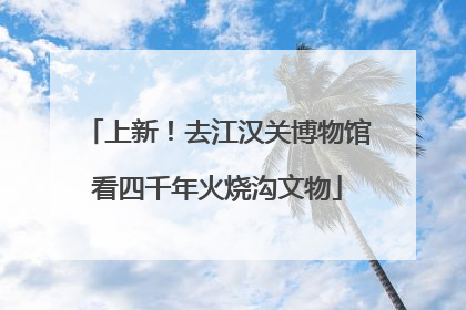 上新！去江汉关博物馆看四千年火烧沟文物