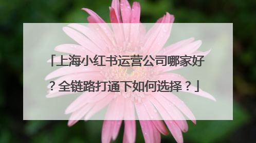 上海小红书运营公司哪家好？全链路打通下如何选择？