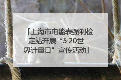 上海市电能表强制检定站开展“5·20世界计量日”宣传活动