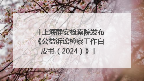 上海静安检察院发布《公益诉讼检察工作白皮书（2024）》