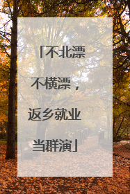 不北漂不横漂，返乡就业当群演