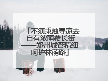 不须秉烛寻凉去 自有浓荫覆长街——郑州城管精细呵护林荫路
