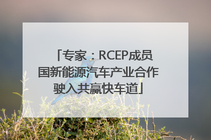 专家：RCEP成员国新能源汽车产业合作驶入共赢快车道