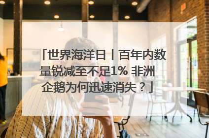 世界海洋日丨百年内数量锐减至不足1% 非洲企鹅为何迅速消失？
