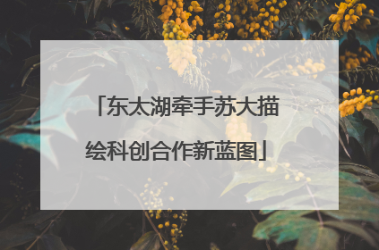东太湖牵手苏大描绘科创合作新蓝图