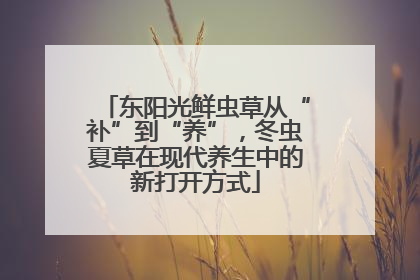 东阳光鲜虫草从“补”到“养”，冬虫夏草在现代养生中的新打开方式