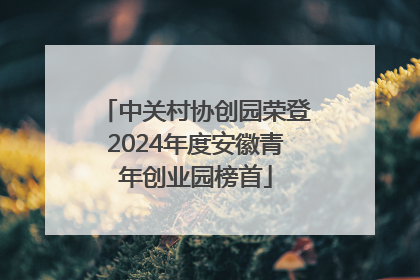 中关村协创园荣登2024年度安徽青年创业园榜首