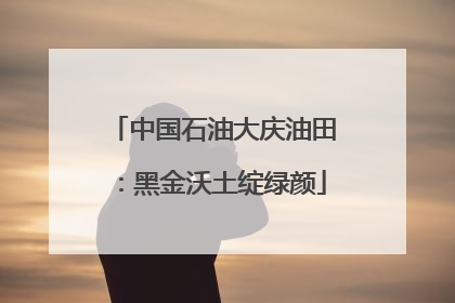 中国石油大庆油田：黑金沃土绽绿颜