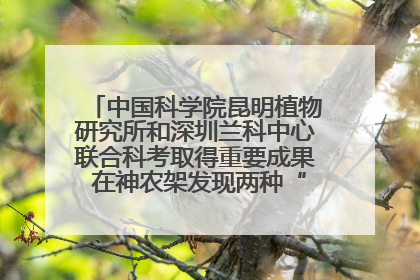中国科学院昆明植物研究所和深圳兰科中心联合科考取得重要成果 在神农架发现两种“国保”级兰花