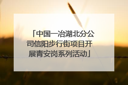中国一冶湖北分公司信阳步行街项目开展青安岗系列活动