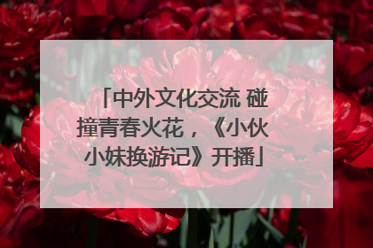 中外文化交流 碰撞青春火花，《小伙小妹换游记》开播