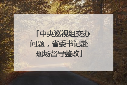 中央巡视组交办问题，省委书记赴现场督导整改