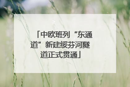中欧班列“东通道”新建绥芬河隧道正式贯通