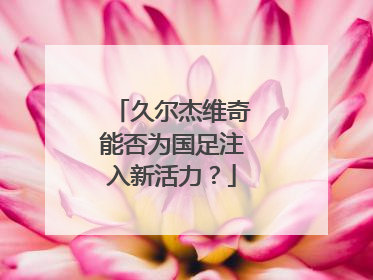 久尔杰维奇能否为国足注入新活力？