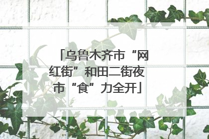 乌鲁木齐市“网红街”和田二街夜市“食”力全开