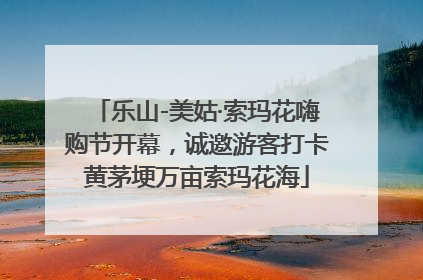 乐山-美姑·索玛花嗨购节开幕，诚邀游客打卡黄茅埂万亩索玛花海