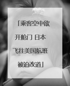 乘客空中欲开舱门 日本飞往美国航班被迫改道