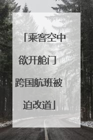 乘客空中欲开舱门 跨国航班被迫改道