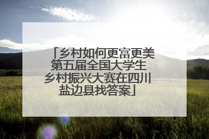 乡村如何更富更美 第五届全国大学生乡村振兴大赛在四川盐边县找答案
