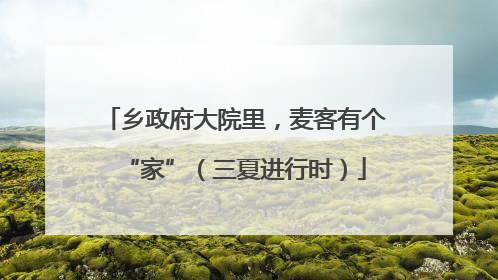 乡政府大院里，麦客有个“家”（三夏进行时）