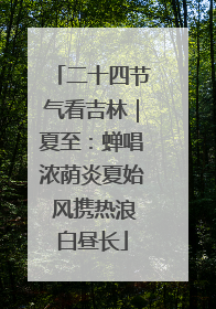 二十四节气看吉林｜夏至：蝉唱浓荫炎夏始 风携热浪白昼长