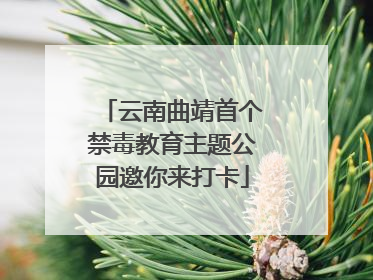 云南曲靖首个禁毒教育主题公园邀你来打卡