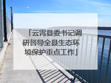 云霄县委书记调研督导全县生态环境保护重点工作