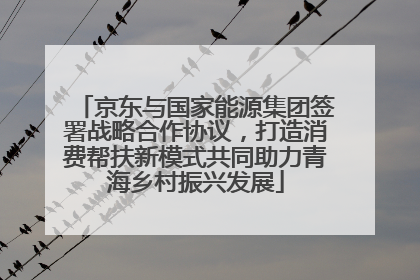 京东与国家能源集团签署战略合作协议，打造消费帮扶新模式共同助力青海乡村振兴发展