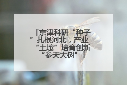 京津科研“种子”扎根河北，产业“土壤”培育创新“参天大树”