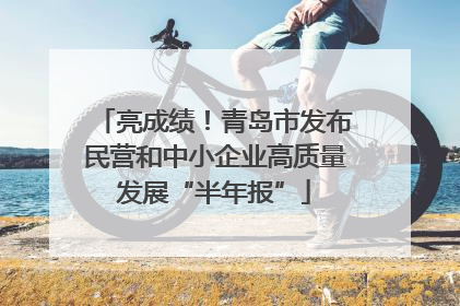 亮成绩！青岛市发布民营和中小企业高质量发展“半年报”