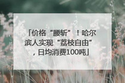 价格“腰斩”！哈尔滨人实现“荔枝自由”，日均消费100吨