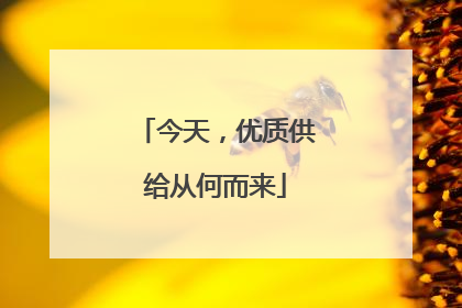 今天，优质供给从何而来
