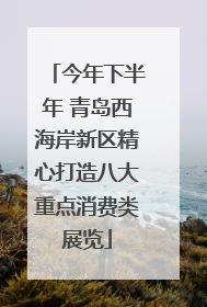 今年下半年 青岛西海岸新区精心打造八大重点消费类展览