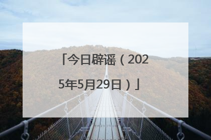 今日辟谣（2025年5月29日）