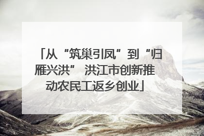 从“筑巢引凤”到“归雁兴洪” 洪江市创新推动农民工返乡创业