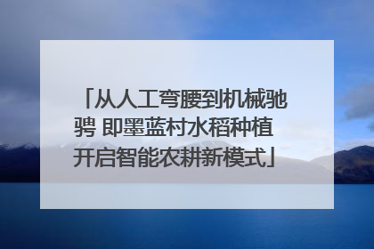 从人工弯腰到机械驰骋 即墨蓝村水稻种植开启智能农耕新模式