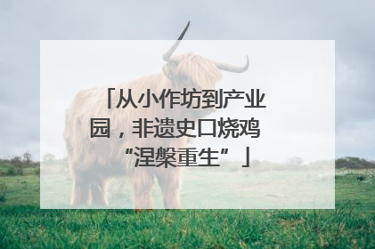 从小作坊到产业园，非遗史口烧鸡“涅槃重生”