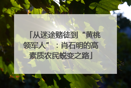 从迷途赌徒到“黄桃领军人”：肖石明的高素质农民蜕变之路