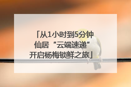 从1小时到5分钟 仙居“云端速递”开启杨梅锁鲜之旅